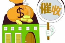 广西为什么选择专业追讨公司来处理您的债务纠纷？